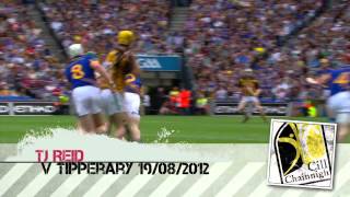 Top 5 GAA Hurling Goals  2012 [upl. by Yornek998]