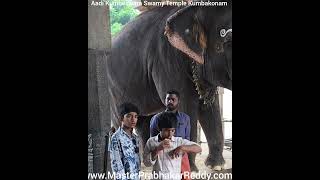 Kumbakonam Paadal Petra Sthala Aadi Kumbeswara Swamy temple Master Prabhakar Reddy Martial Arts [upl. by Nnyled]