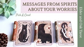 MESSAGES FROM SPIRITS ABOUT A WORRY THAT YOU HAVE 🌝 ✨ Pick A Card Timeless Tarot Reading [upl. by Blain]