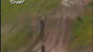 Travis Pastrana freestyle  motocross  Crush1 [upl. by Weidman]