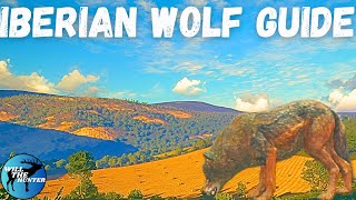 Cuatro Colinas Iberian Wolf Guide TheHunter Call Of The Wild 2023 [upl. by Ainala649]