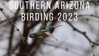 Southern Arizona Birding 2023 [upl. by Sirrah395]