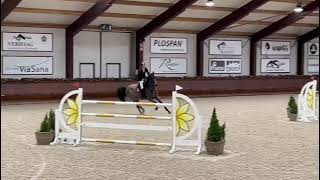 Paulien Dwerse Hagen 8yo Cornet x Casall  JO GP Peelbergen [upl. by Alphard]