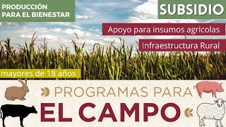 Producción para el Bienestar  Transformando el campo 💲REGISTRO 2024 Apoyo agrícola 🚜 apoyo pecuaria [upl. by Lyrej885]