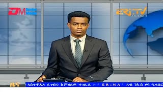 Midday News in Tigrinya for November 17 2023  ERiTV Eritrea [upl. by Kikelia336]