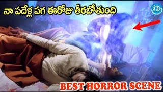 Rajmahal Movie Horror Scene Suryanath Riya Vanditha Sandeepthi Jeeva  iDream Adilabad [upl. by Ledairam]