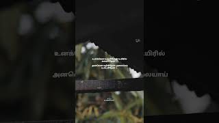 Vannarapettayila Song Lyrics  Maaveeran  Whatsapp Status Tamil  Magical Frames [upl. by Jair691]