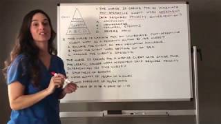 Maslows need hierarchy theory with notes motivation class 12 business studies [upl. by Arotahs]