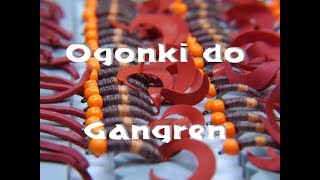 Jak wykonać ogonki do Gangren Fly Tying [upl. by Carey832]