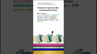 Anatomic layers to the cerebrospinal fluid [upl. by Urbana]