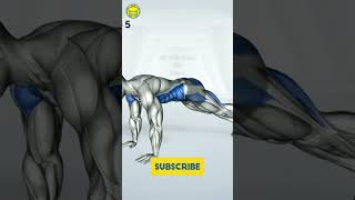 5 Minute Magic Quick Ab Workout for Instant Results 1 [upl. by Lonier75]