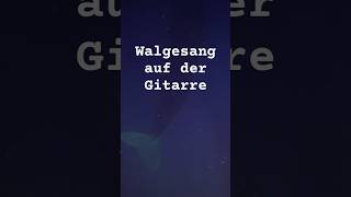 Walgesang auf der Gitarre Ganz klar Schwebezustand guitar sounds foryou musikvideo music [upl. by Noryahs195]