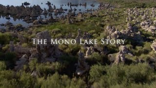 The Mono Lake Story [upl. by Arlina]