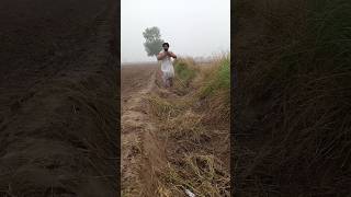 😲😲Wait for end today viralvideo farming trending funny shorts short [upl. by Ahseki690]