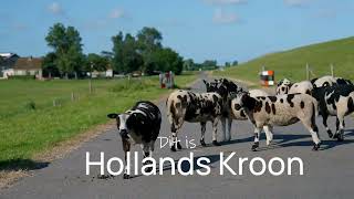 Zomertijd in Hollands Kroon Adembenemende Landschappen [upl. by Drazze945]