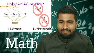 Algebra Basics What Are Polynomials  Math Antics [upl. by Linea]