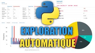 Découvrez 2 librairies Python pour générer des rapports d’analyse de données automatiques [upl. by Alyag]