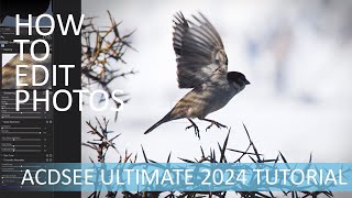 How to Edit Photos in ACDSee Ultimate 2024  A Beginners Guide [upl. by Demetris]