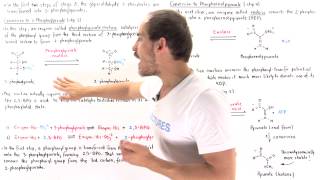 Stage 3 of Glycolysis Steps 8 910 [upl. by Durtschi]