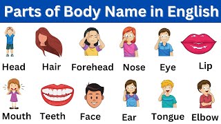 human body parts name 2024  शरीर के अंग  body parts name in hindi and english  body parts [upl. by Ulrikaumeko]