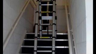 Eastern Trading Multipurpose Telescopic Ladder [upl. by Lejna]