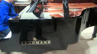 Brodmann Grand Piano [upl. by Akcirahs]