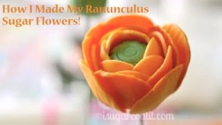 Ranunculus Flower Tutorial [upl. by Anilehcim]