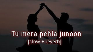 Tu mera pehla junoon  full audio song  slow  reverb  Sr motion [upl. by Aika]