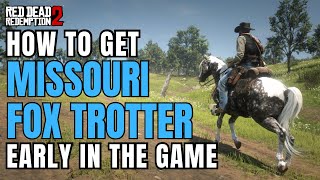 How to get Missouri Fox Trotter EARLY  RDR2 [upl. by Devad]