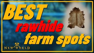 Best Farming Locations and Tips Ultimate Rawhide Farming Guide in New World 2023 [upl. by Rasaec778]