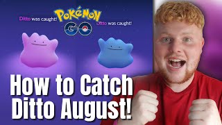 How to CATCH Ditto in August 2023 FULL Ditto disguises Pokémon Go [upl. by Anasxor802]