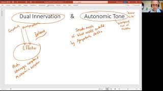 Biology 2020 The Autonomic Nervous System Control Video 8 [upl. by Hereld265]