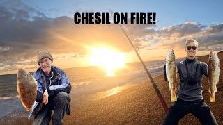 Chesil On Fire 🔥🔥🔥The Beach Comes Alive Sea Fishing Chesil Beach September 2024 [upl. by Ahsitniuq]