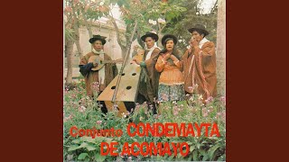 Serenata Condemayta [upl. by Ayila]