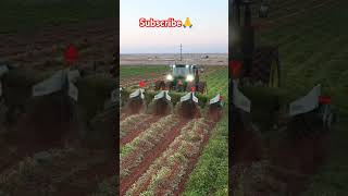 Best Agreecalture Farming Equipment 👌shorts farming agreeculture trending viralvideo farmer 👌👍 [upl. by Iron559]