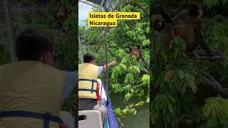 Isletas de Granada Nicaragua Sigan el canal mi raza [upl. by Akeemaj]