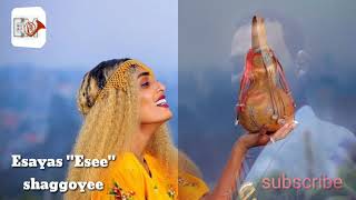 Esayas quotEseeequot Shaggooyee Ethiopian oromo music video 2020 official video [upl. by Body]