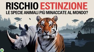 RISCHIO ESTINZIONE Le Specie Animali Più Minacciate Al Mondo [upl. by Conan]