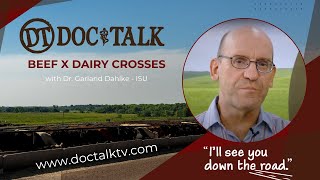 DocTalk Ep 655  Beef x Dairy [upl. by Renault]