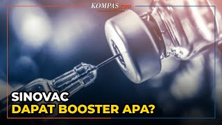 Dosis 1 dan 2 Sinovac Nanti Vaksin Boosternya Dapat Apa [upl. by Jannery472]