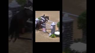 Here’s another old edit I found edit equestrian horsesaremylife horse showjumping [upl. by Edyak]