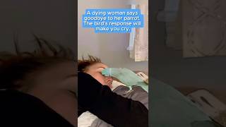 A dying woman says goodbye to her parrot The birds response will make you cryfyp foryou [upl. by Torrence683]