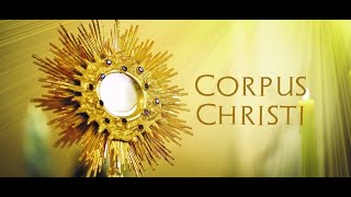 Feast of Corpus Christi  Homily by Dn Stio Kachappilly CMI [upl. by Martreb]