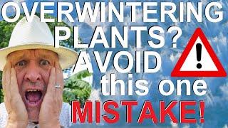 Avoid this One Mistake Overwintering Plants [upl. by Rhea]