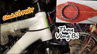 Sử dụng và Sửa chữa  Chỉnh cổ phốt và thay vòng bi  Nhẹ và mượt [upl. by Bennet]