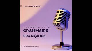 24 À qui la faute  expression de la cause expliquer en français [upl. by Hogarth]