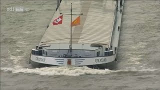 Doku Leben auf dem Fluss  Vom Rhein zur Donau HD [upl. by Hogan498]