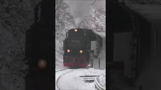 Brockenbahn im Schnee [upl. by Yelac]