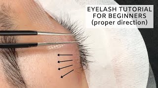 Individual Lashes Tutorial CLOSE UP [upl. by Halac]