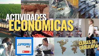 Las Ramas de Actividad Económica Fundamentos de la Economía Global  Clases de Geografía [upl. by Abisha]